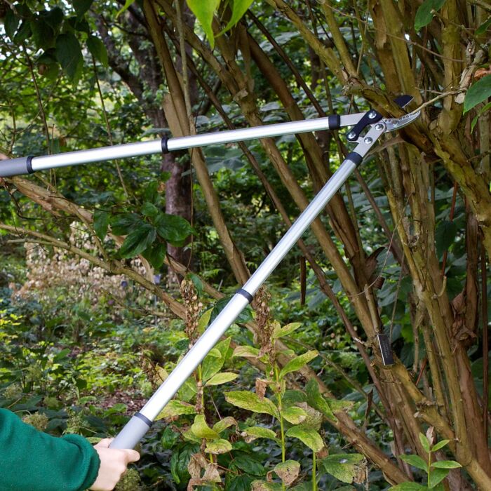 Burgon & Ball Telescopic Anvil Lopper - RHS Endorsed